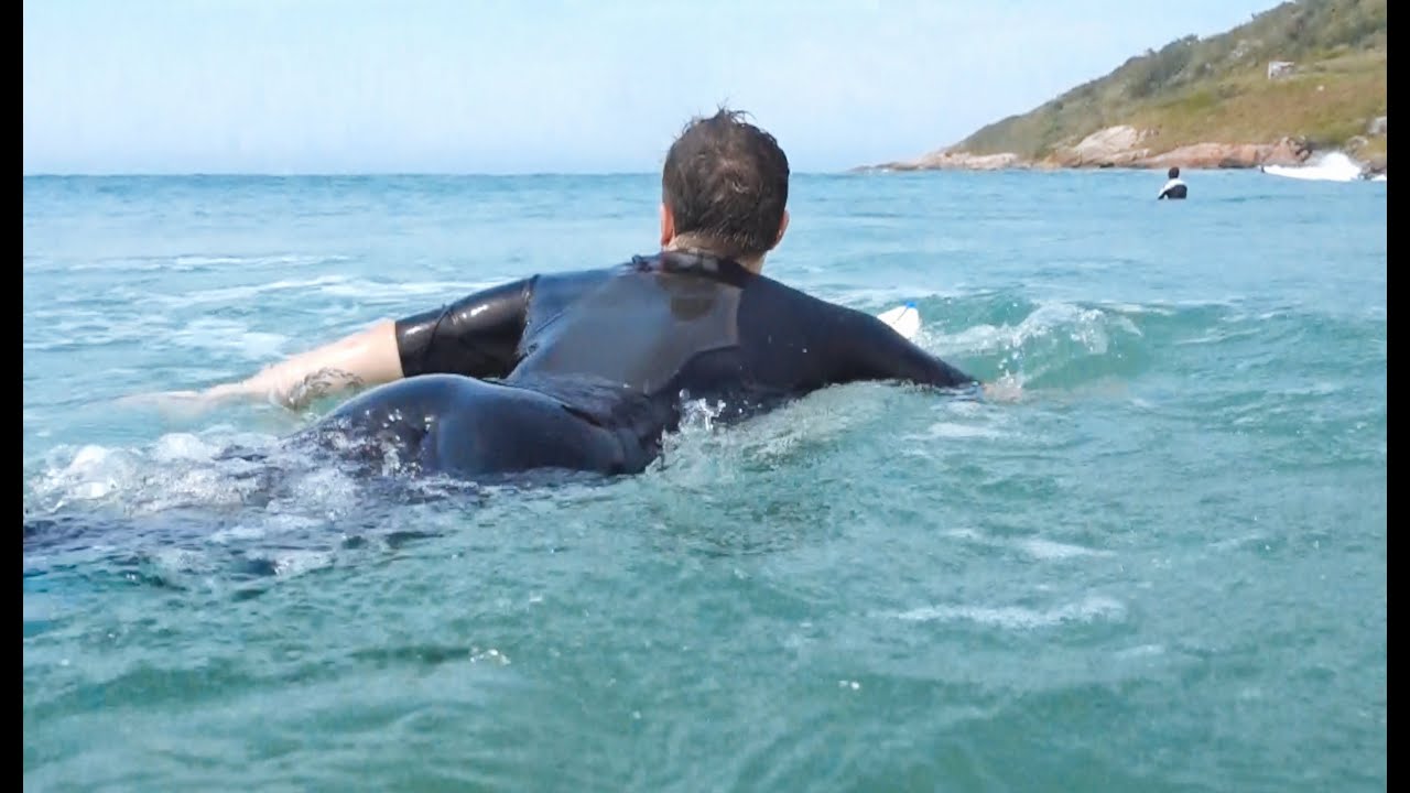 SURFANDO COM AS BALEIAS