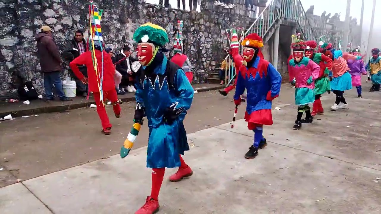 danza original de elotepec ver única del 2024