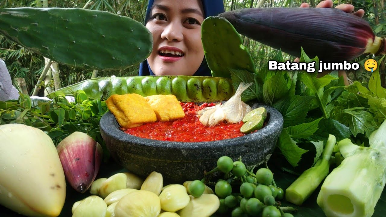 BATANG PEPAYA JUMBO - KAKTUS CENTONG JANTUNG PISANG + BELIMBING JADUL !!!