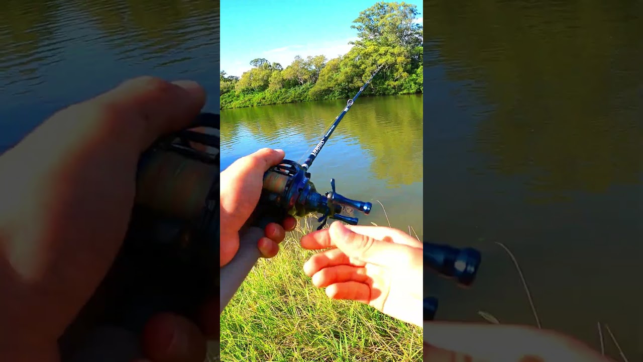 Cod from some very tight cover!  