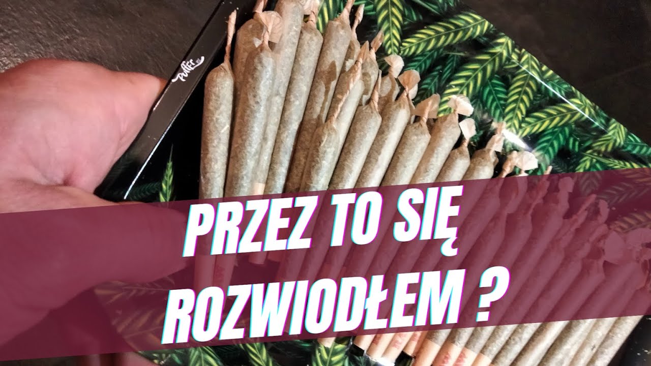 Przez konopie się rozwiodłem…?🔥 Cała prawda o naszym pierwszym sezonie!
