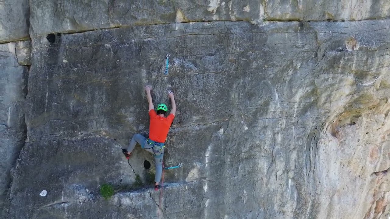 Pinell de brai, Alegria 7a