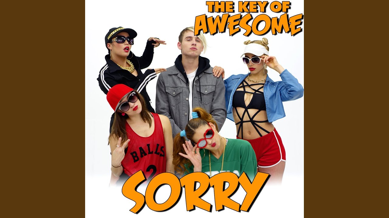 Sorry - Parody of Justin Bieber's 