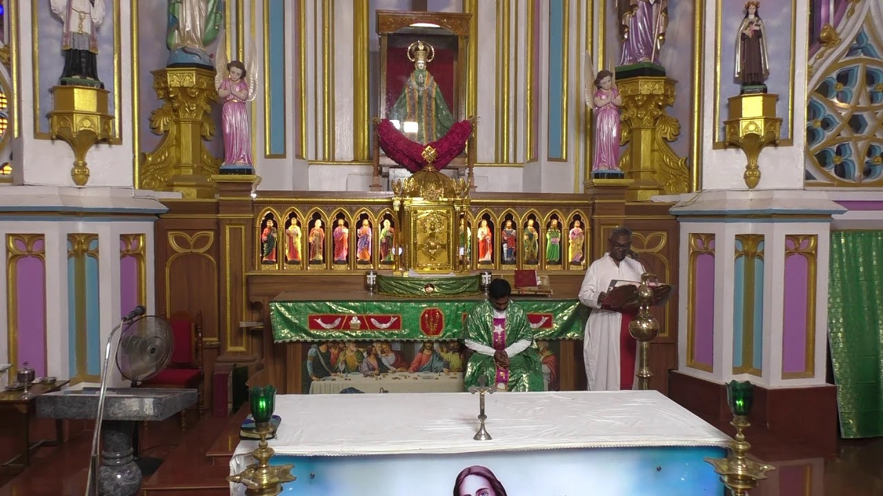 ༺♰༻ 🅛🅘🅥🅔 𝑽𝒂𝒅𝒂𝒗𝒂𝒊 𝑷𝒂𝒓𝒂𝒍𝒐𝒈𝒂 𝑴𝒂𝒕𝒉𝒂 - Festival Mass in Tamil -  2025 - திருப்பலி