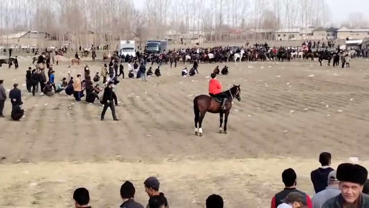 Asosiy lahzalar 4:02:35 - 4:07:35, 08.02.2026 URGUT pochvan ko'pkarisi