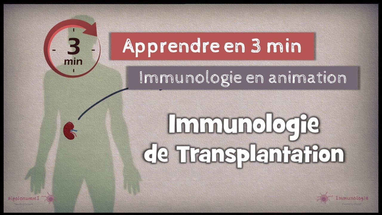 3-1◽ Immunologie de la transplantation