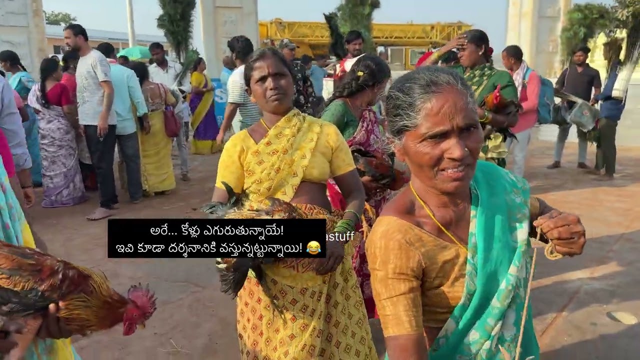 మేడారం 📍జాతర | సమక్క సారలక్క జాతర | ములుగు 