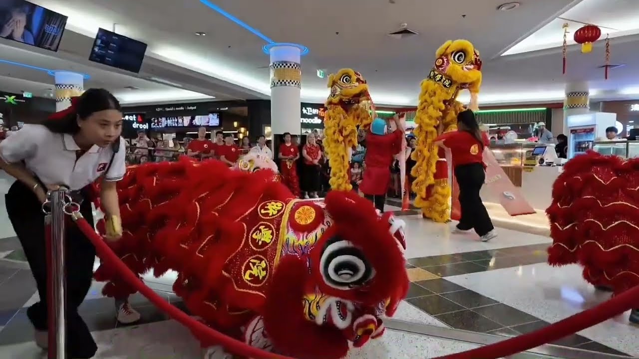 Sunnybank Plaza lion dance Qld Australia CNY 2026 Southern Shaolin International Wushu Academy #cny