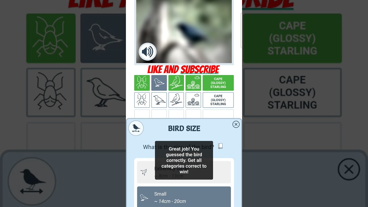 #birds
