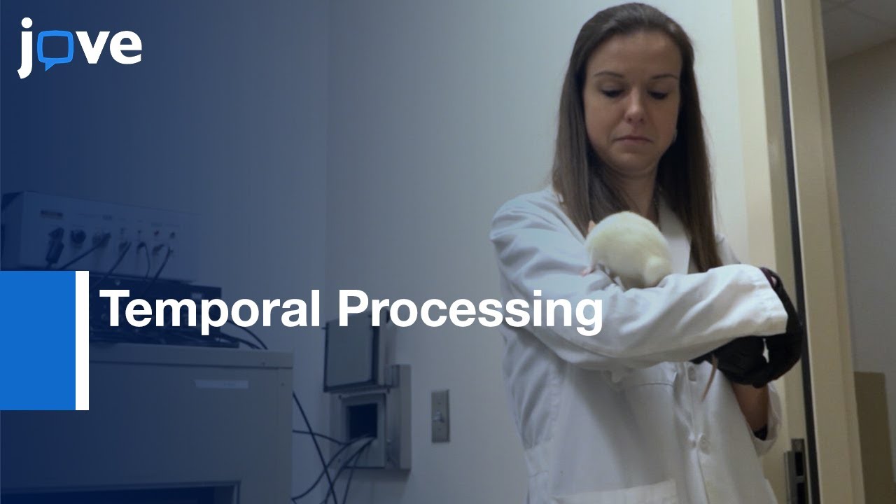 Power of Interstimulus Interval to assess Temporal Processing | Protocol Preview