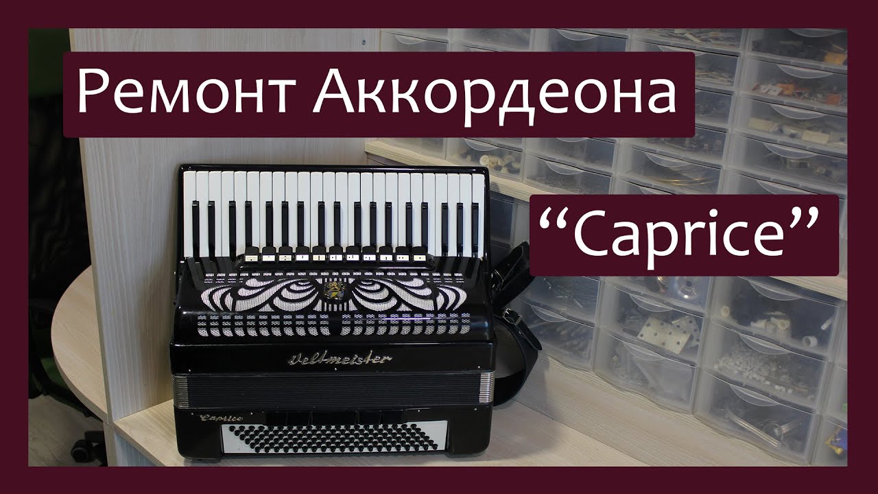 Трудовые будни / Ремонт Аккордеона 