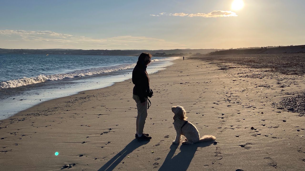 Understanding Dogs- With Brigitte Barton