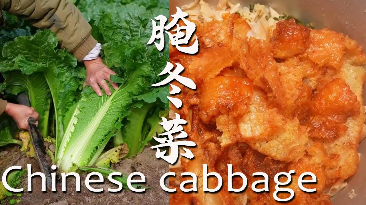 腌制是贮藏，发酵获得了独特鲜味，冬菜与荤食搭配解腻增香