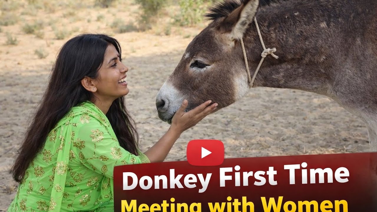donkey frost time meeting funny 😄 my Vedic 
