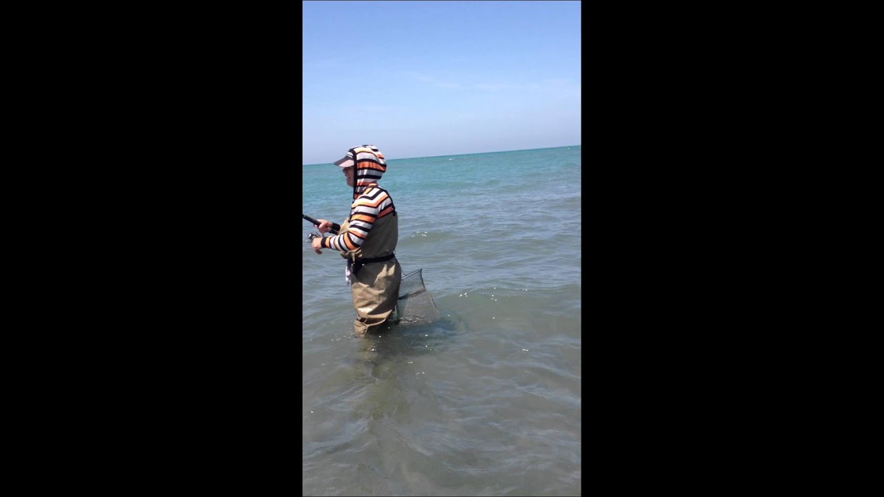 Gjueti ne gryk derdhje te divjakes