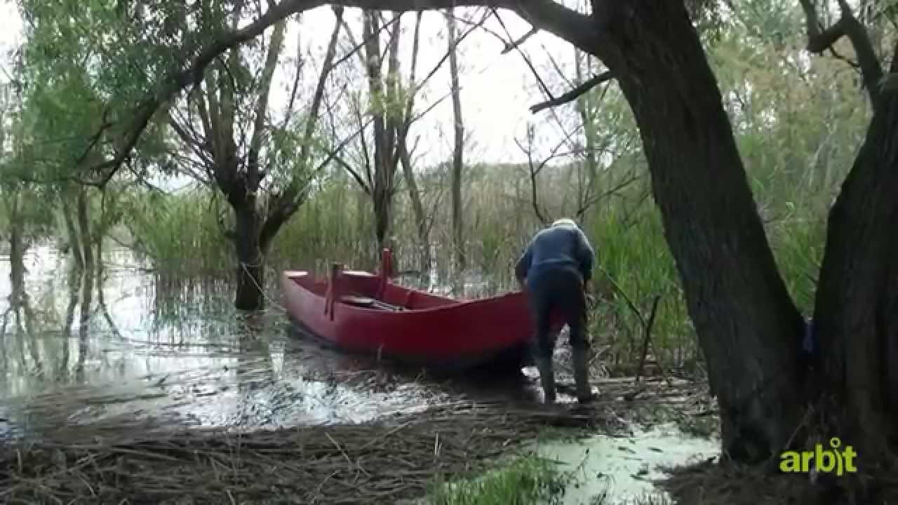 È rossa la barca di Gisberto