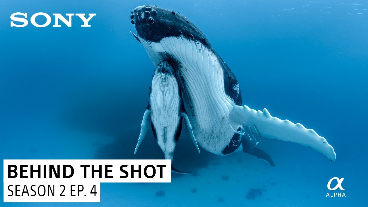 Paul Nicklen's Incredible Humpback Whale Encounter | Behind the Shot S2 Ep. 3