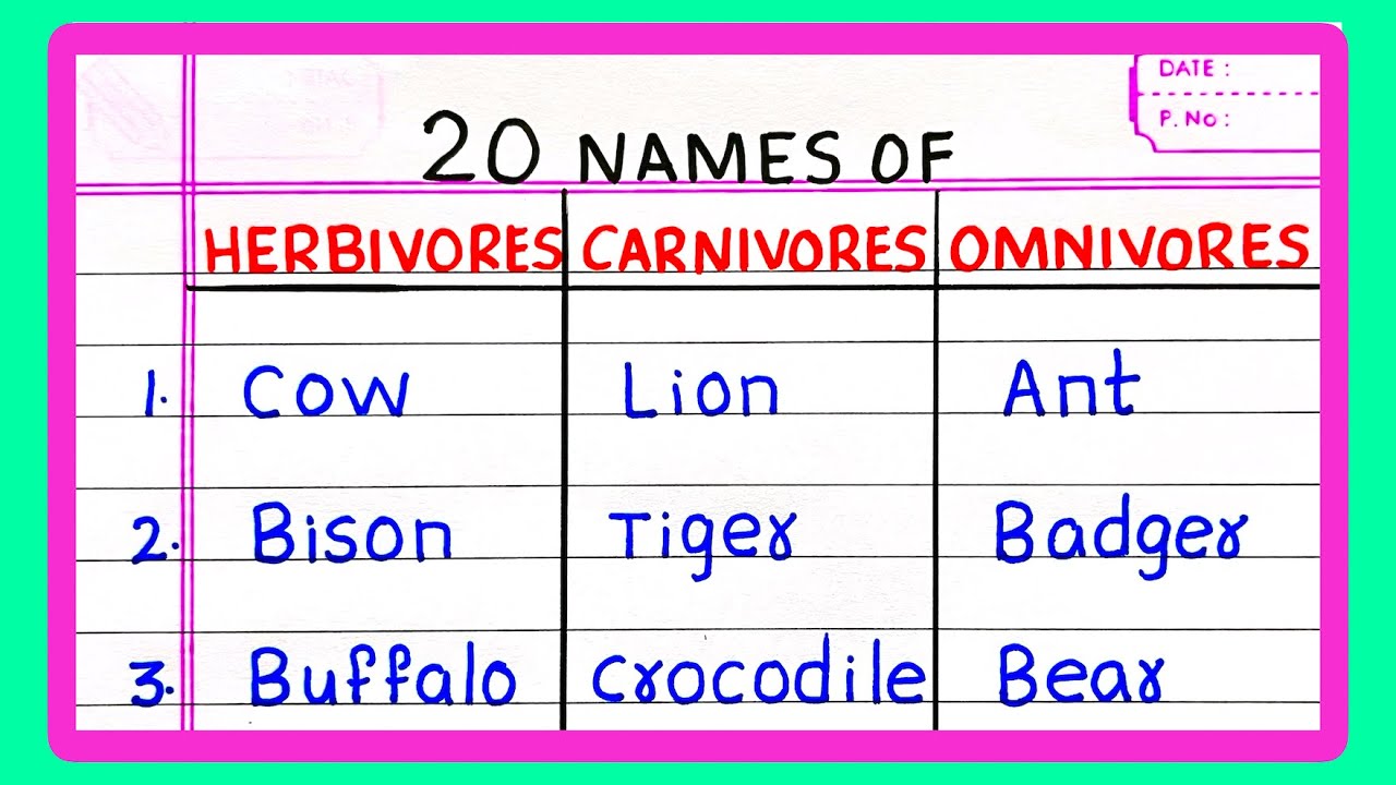 Name of HERBIVORES CARNIVORES AND OMNIVORE ANIMALS | 5 | 20 HERBIVORE CARNIVORE AND OMNIVORE