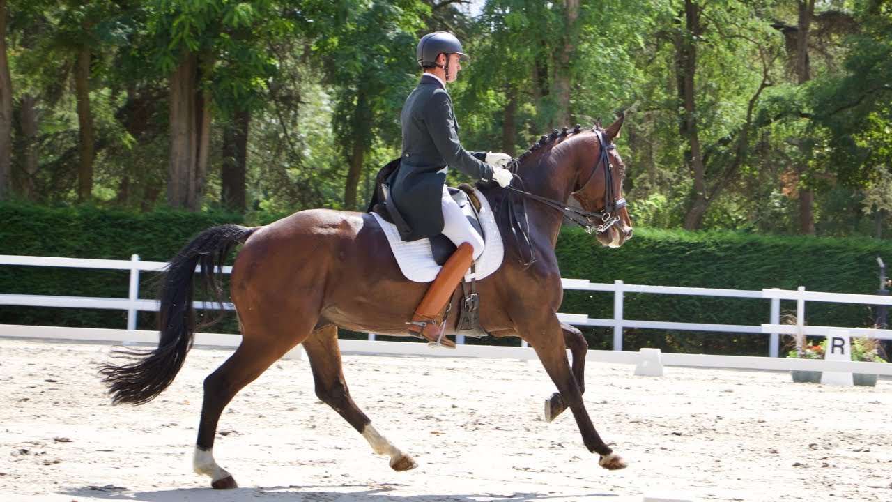 UNSTOPPABLE // EQUESTRIAN MUSIC VIDEO - Horsude
