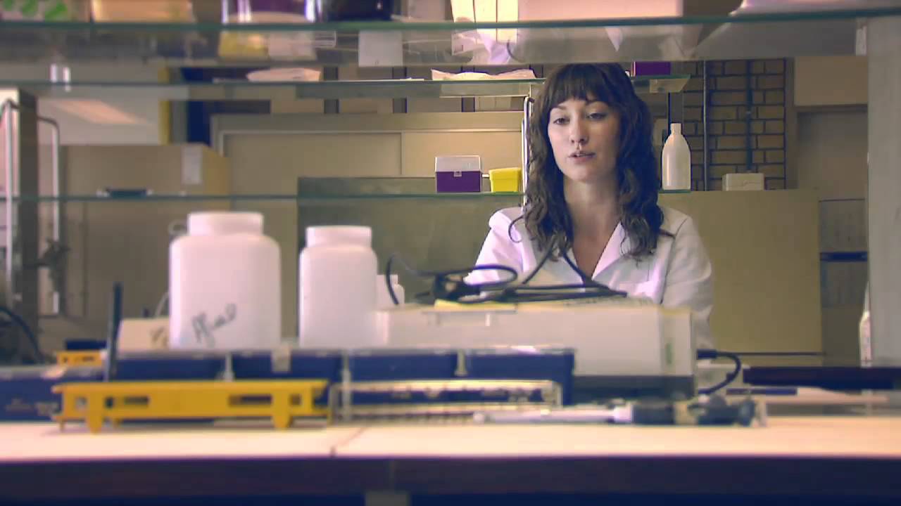 Studeren aan Kulak: Geneeskunde