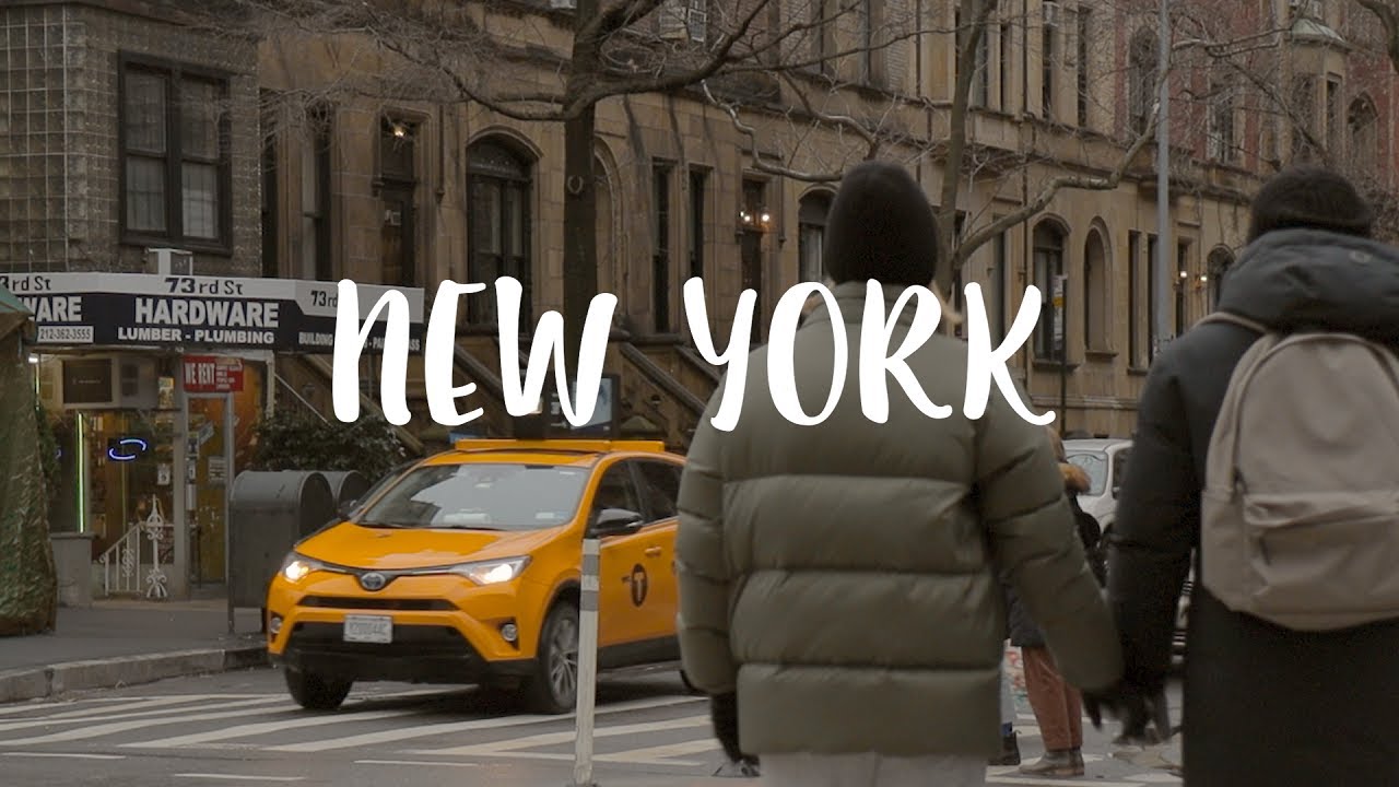 Living in New York VLOG / 4th Year Living in New York, Bookstore, Coffee, Foster Kitten, Cooking