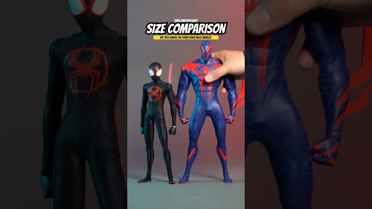 Size Comparison: Hot Toys Marvel Spider-Man Across the Spider-Verse - Miles Morales #spiderman