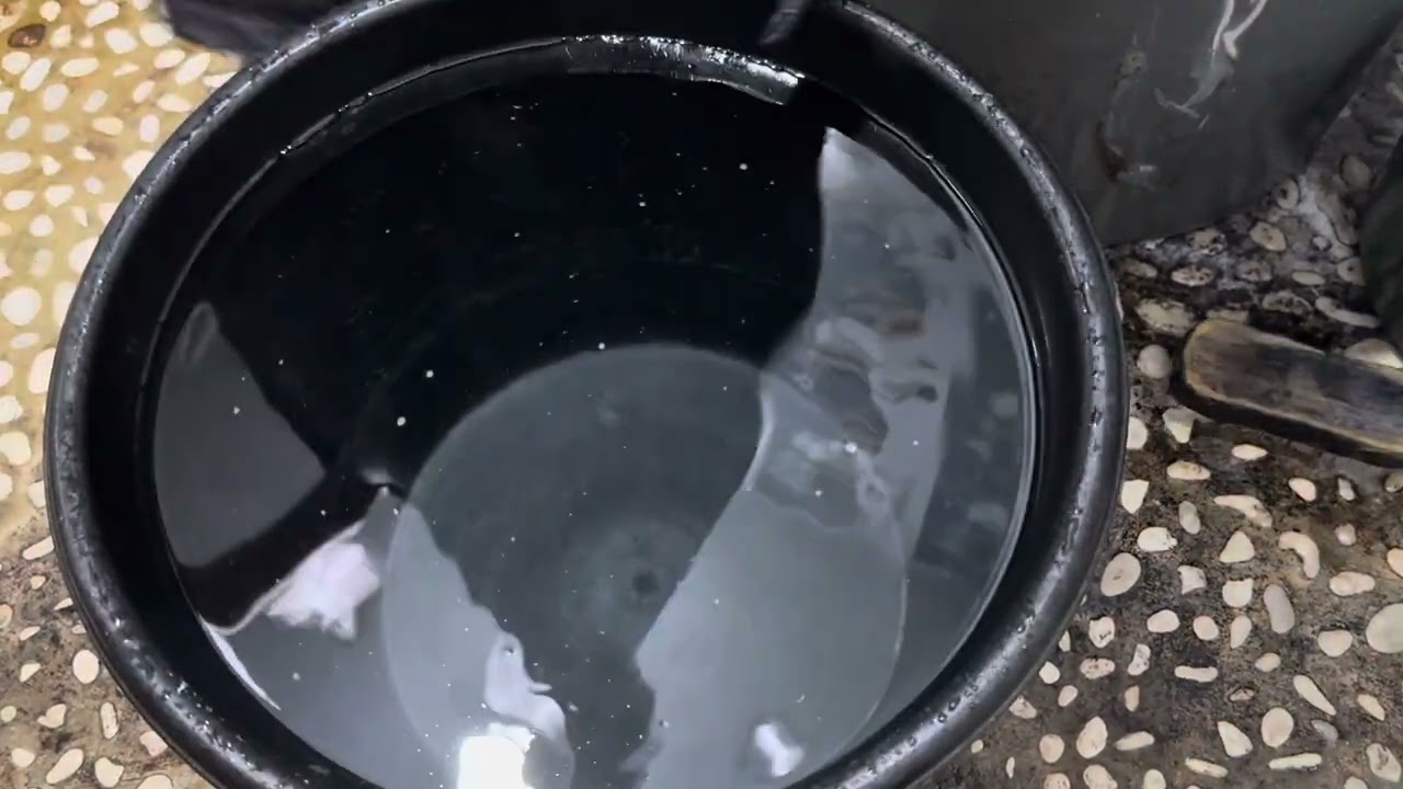 Mencuci Handuk, 🧼🚿 🧺 (ASMR).