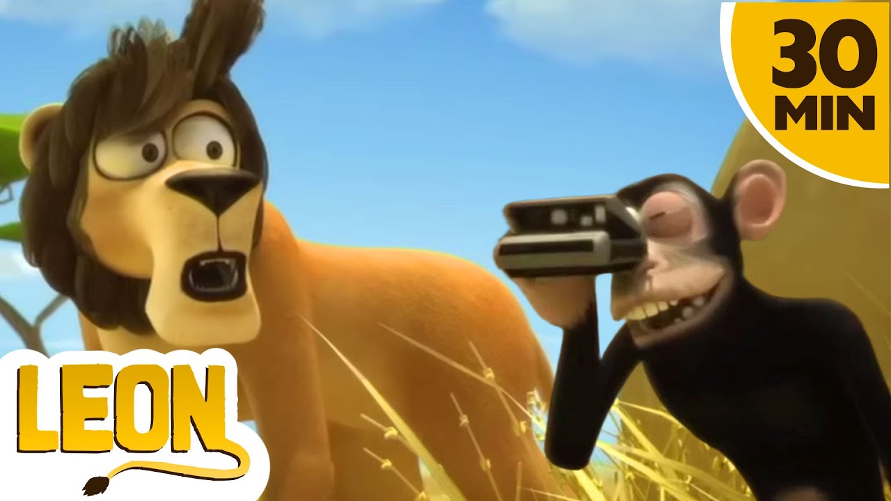 Leon - Photo de safari dans la jungle 📸  | Dessin animé drôle de jungle | Hooplakidz Tv Francias