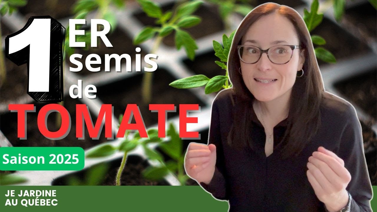 Semis de tomates au Québec : Quand et comment les semer