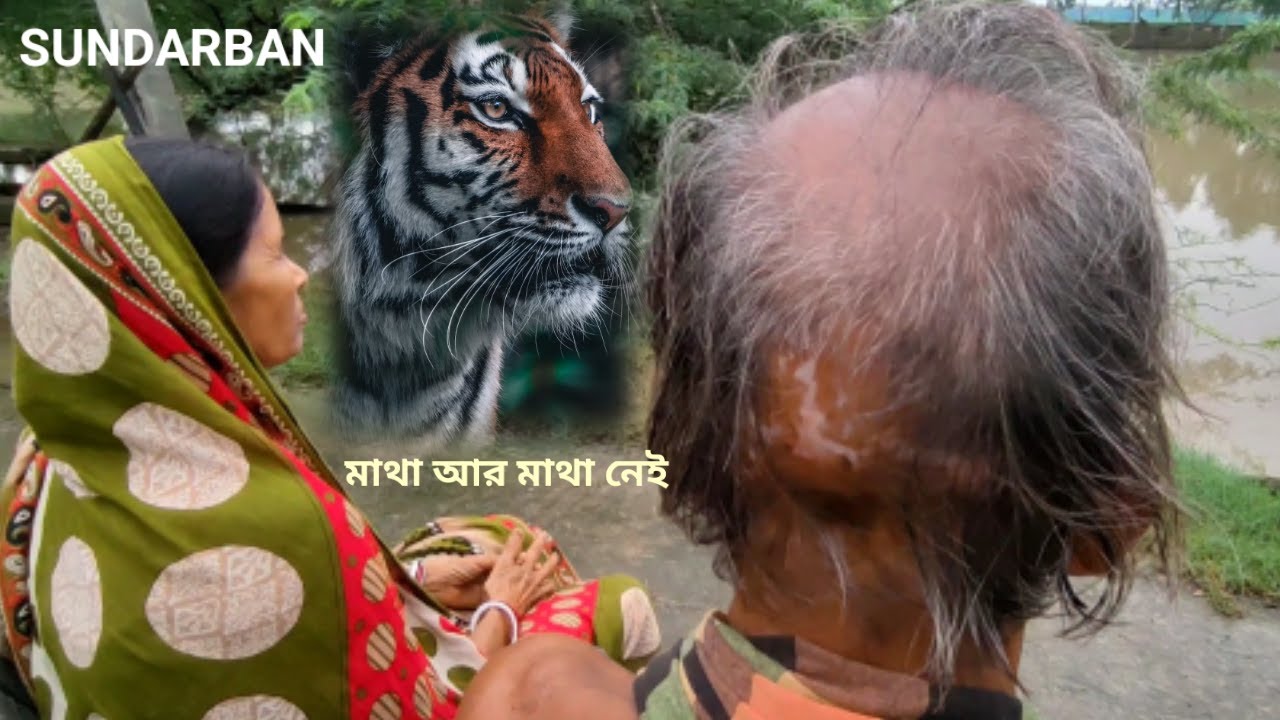 মাথা আর মাথা নেই | ওদের সাহস ছিল বলে আমি বেঁচে ফিরলাম | সুন্দরবন | Sundarban Tiger Attack Man