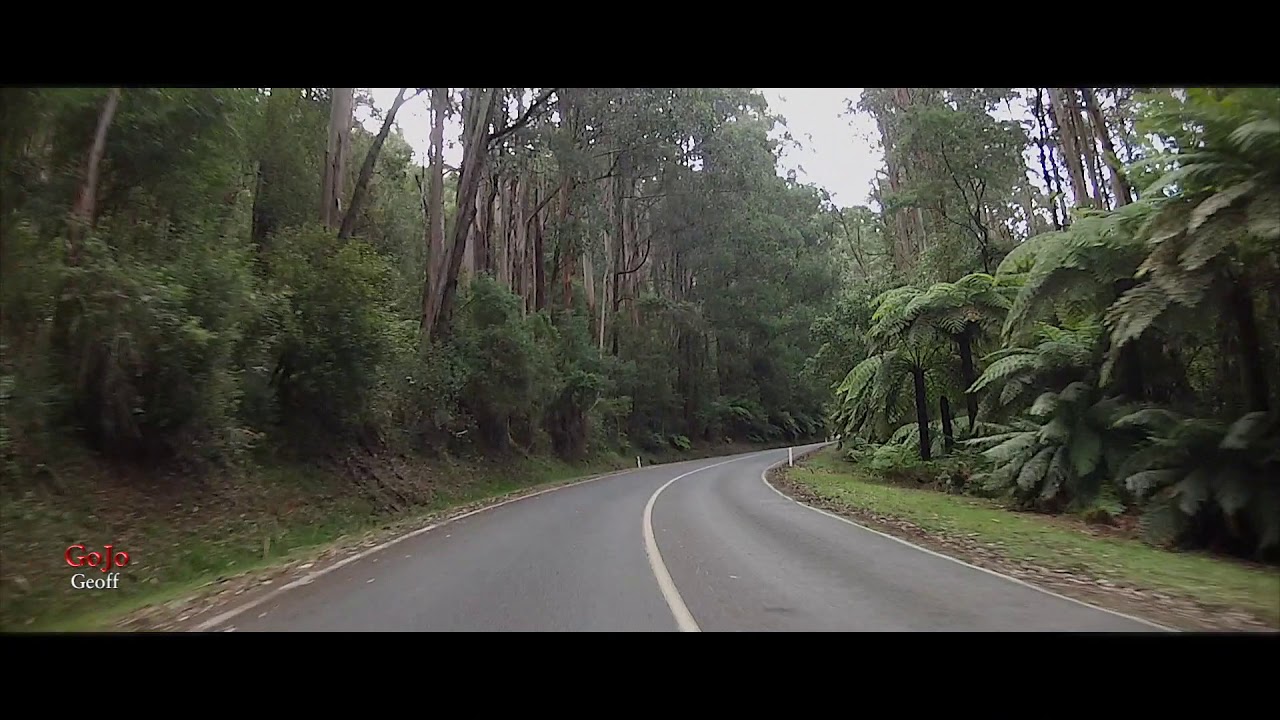 Drive Warburton (Yarra River) to Mt Donna Buang