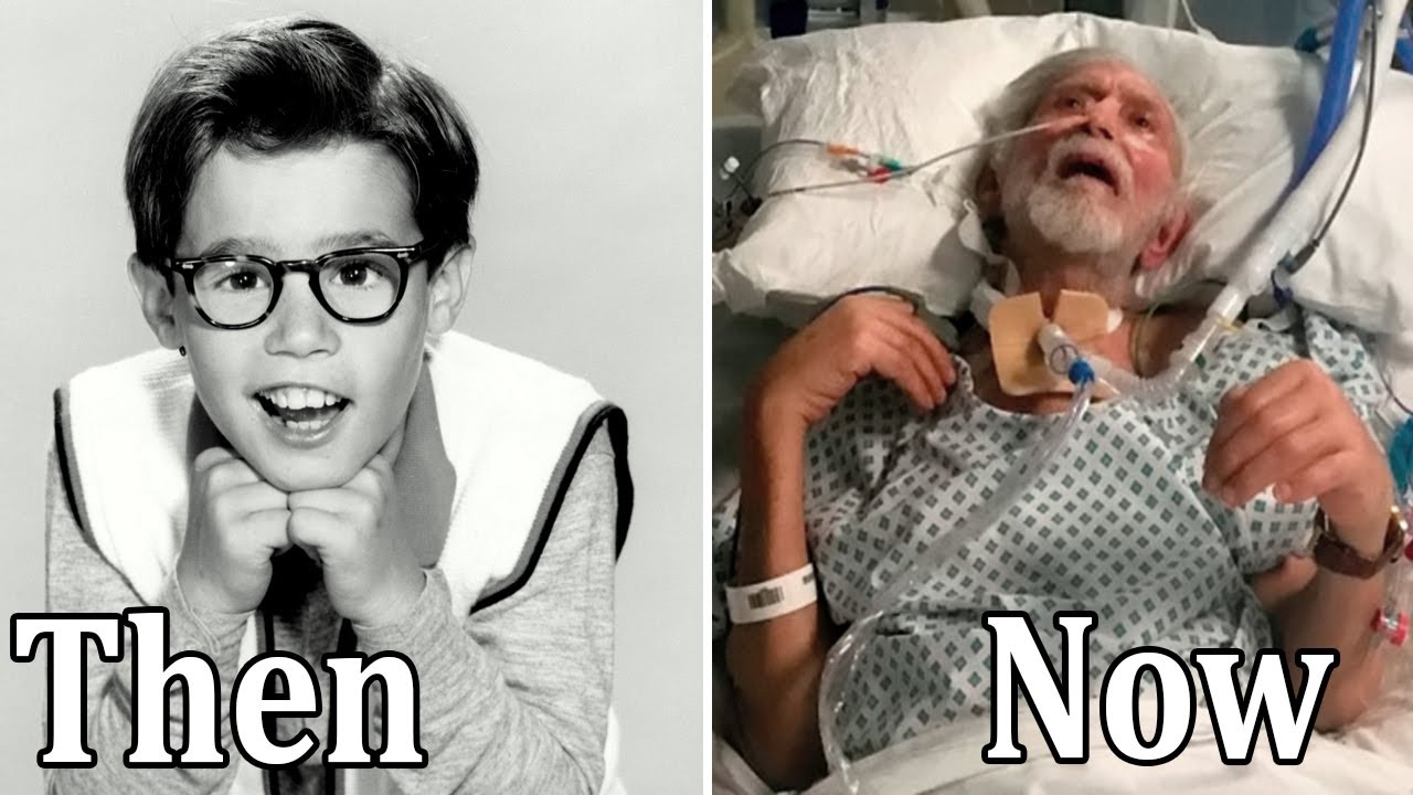 MY THREE SONS 1960 Cast THEN AND NOW 2022, The cast died tragically!