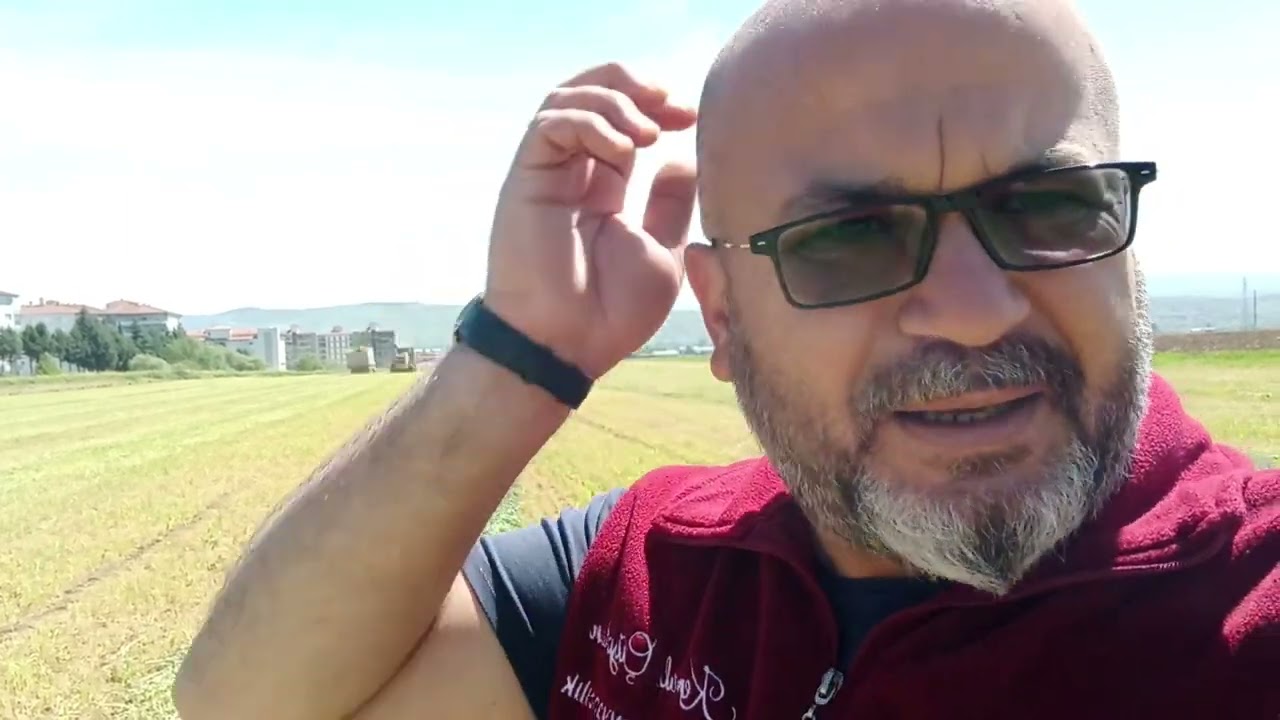 altarnatif yem kaynakların dan buğday slajı..