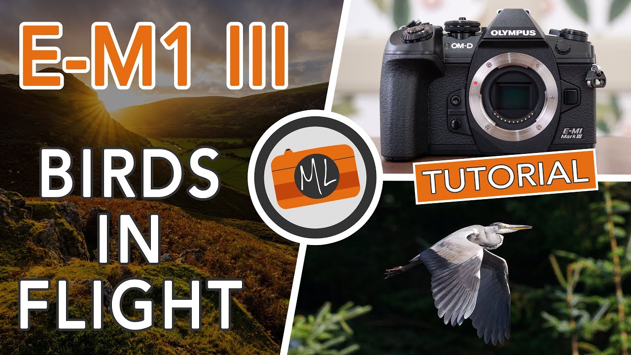 Обзор и руководство по Olympus OM-D E-M1 III — Birds in Flight (также для E-M1X, E-M1 II и E-M5 III)