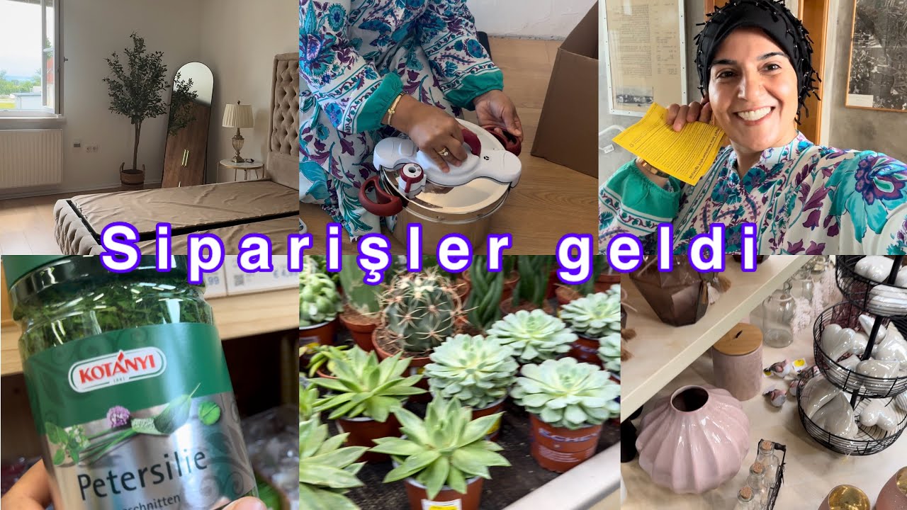 Ev zeytin bahçesi olacak yakında😂izinden önce son işleride hal ettik ve tatile hazırız hade bakalım