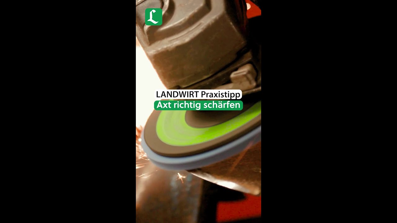 LANDWIRT Praxistipp: Richtiges Sch&auml;rfen einer Axt | #shorts