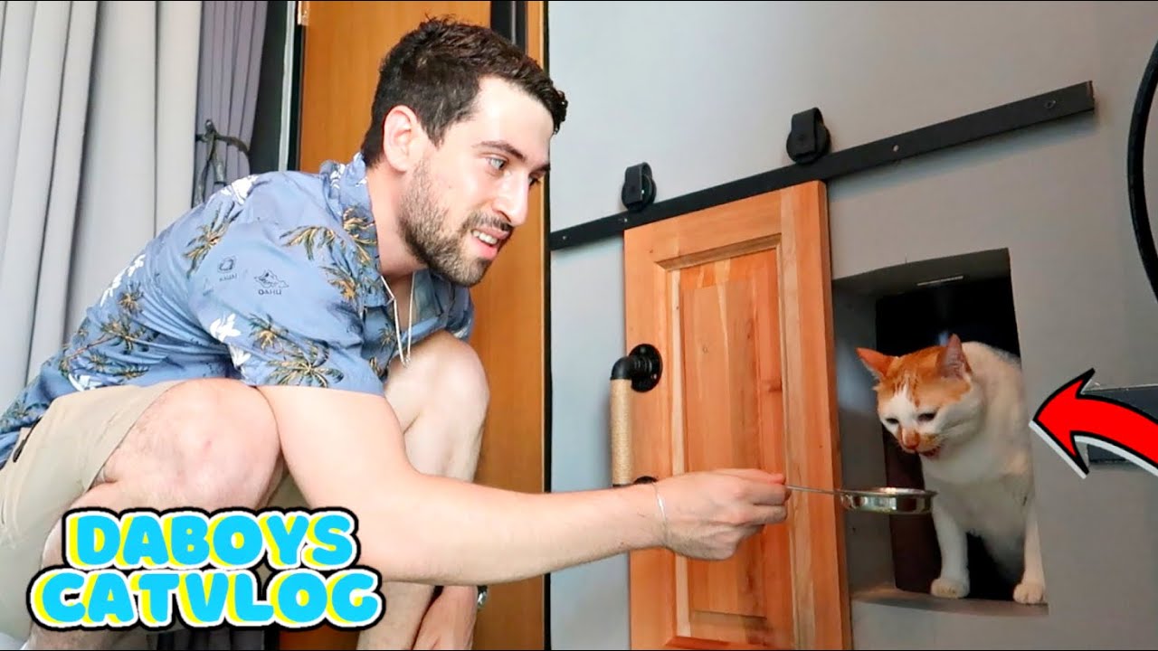 MINI Cat Door Connecting to Master Bedroom! + Their Outdoor Garden | DaBoys CatVlog