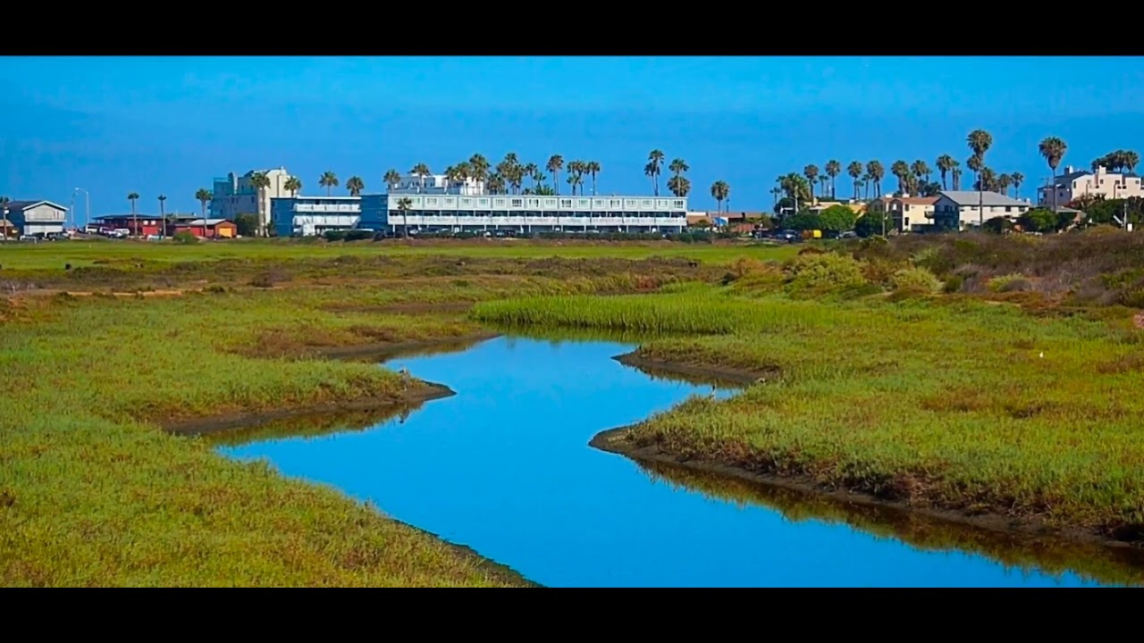 Welcome to the Tijuana River Estuary- mockup 