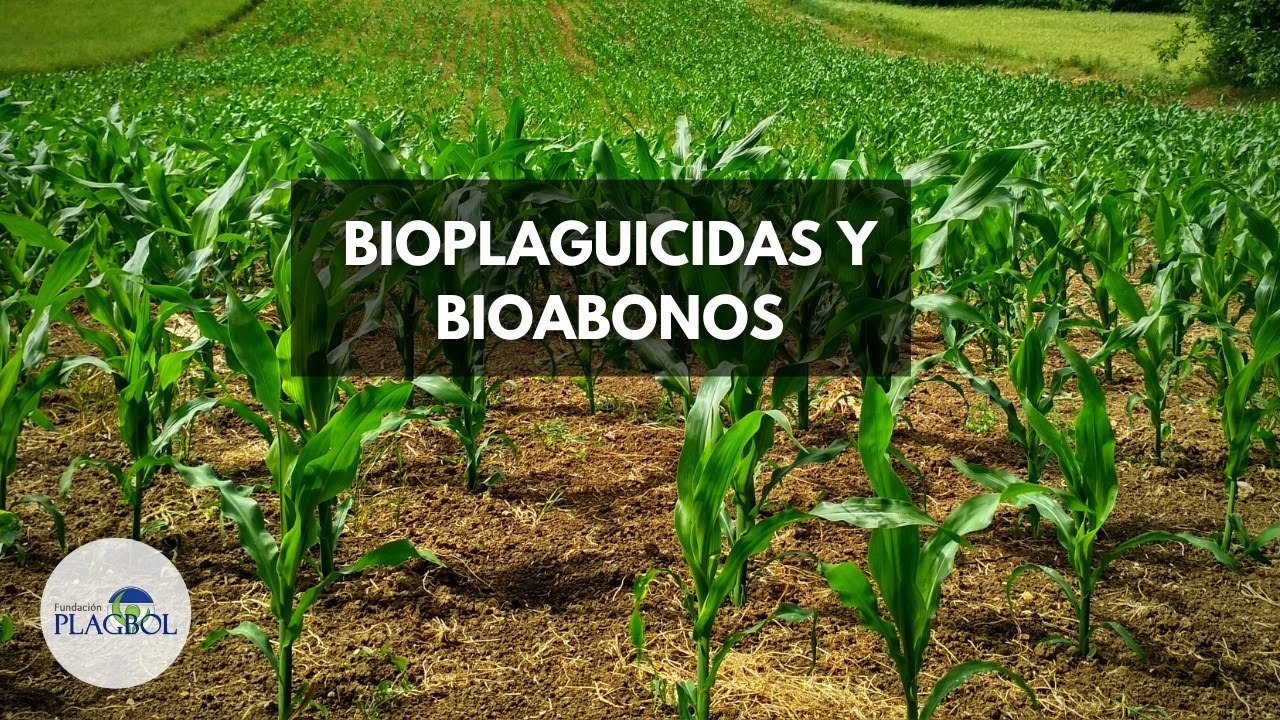 BIOPLAGUICIDAS Y BIOABONOS