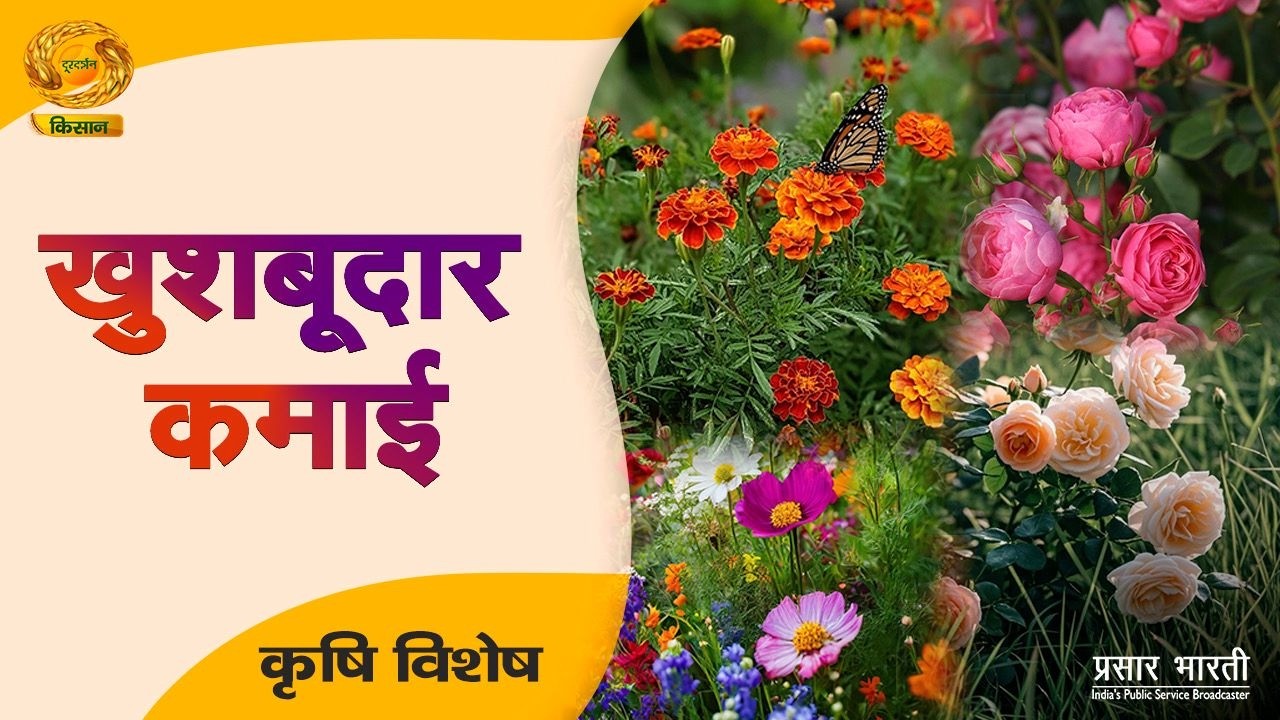 Krishi Vishesh | कृषि विशेष- खुशबूदार कमाई | DD Kisan | February 26, 2026