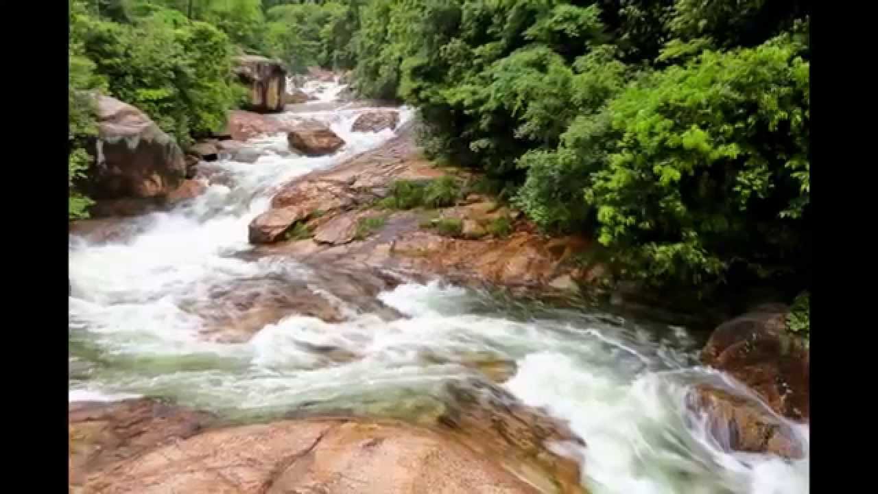 104年6月8日-黃山(02)翡翠谷