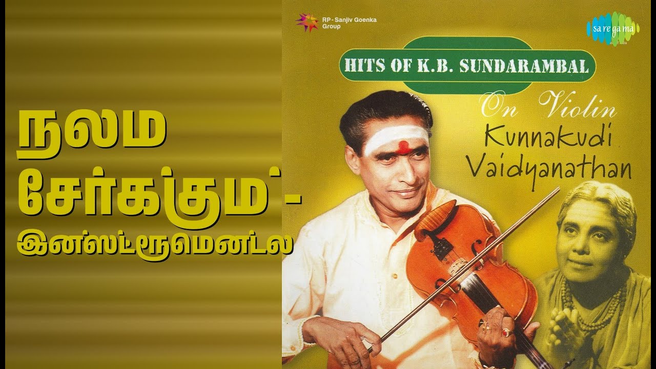 நலம் சேர்க்கும் - இன்ஸ்ட்ரூமென்டல் | Hits Of K B Sundarambal On Violin