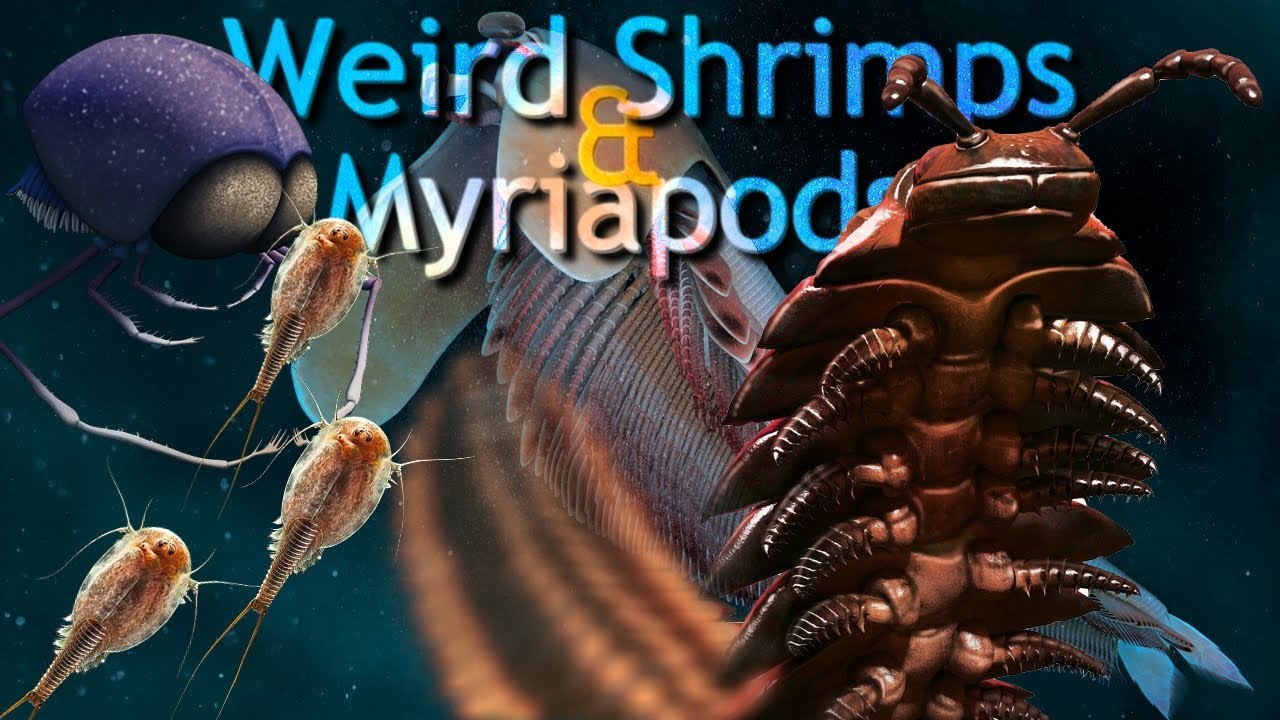 Weird 