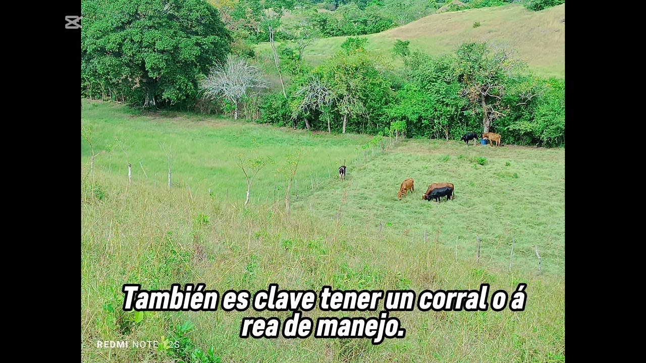 &ldquo;🔧 As&iacute; organizo mi finca peque&ntilde;a para producir M&Aacute;S con MENOS 💪🌱&rdquo;