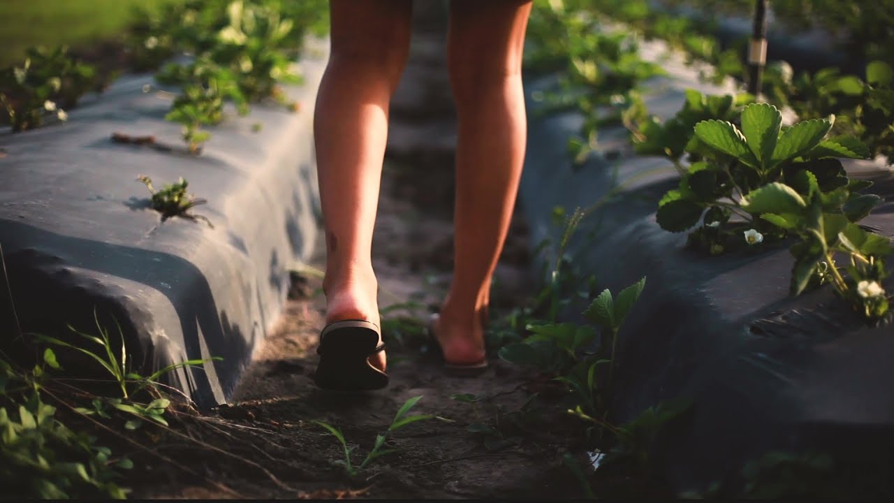 Unsettled: The Life of a Migrant Farmworker Family