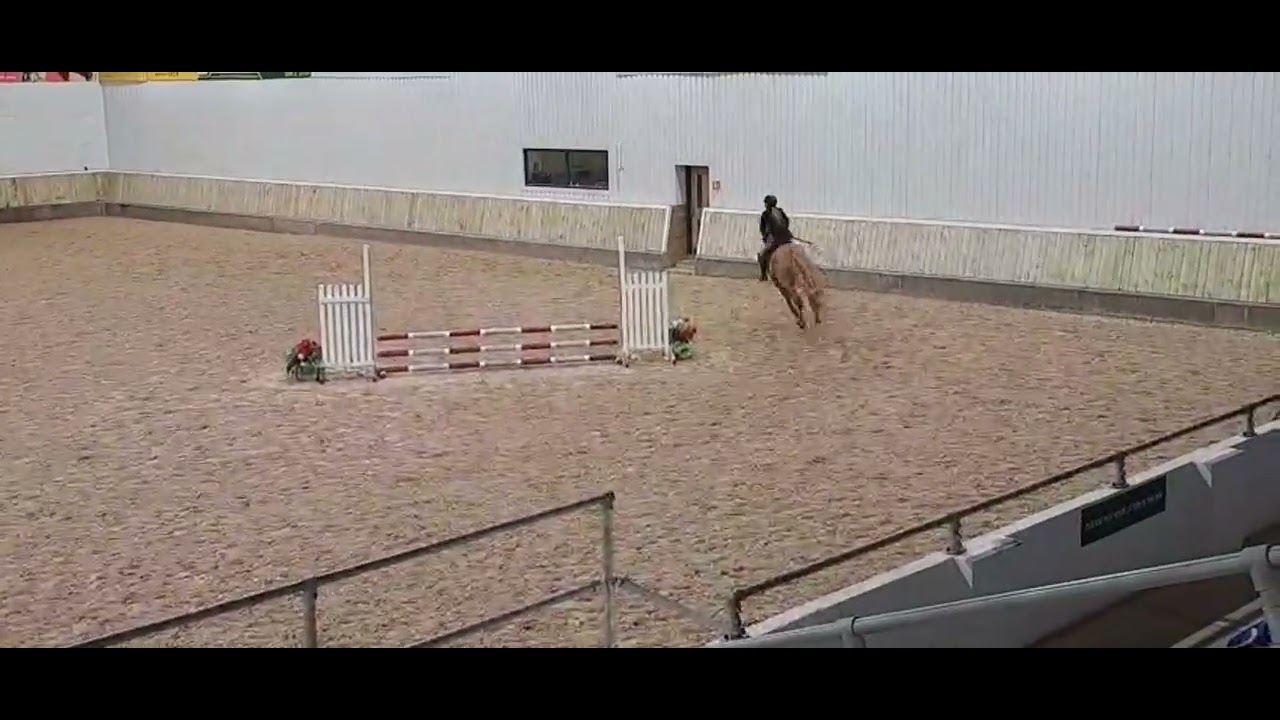 Kelsall 70cm SJ