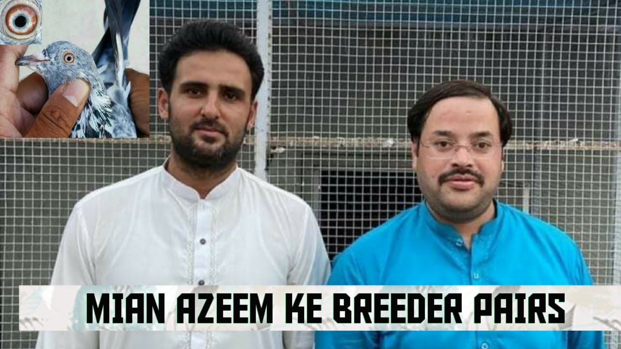Ustad Mian azeem ke breeder kabotron ka shook 2022 of Kasur