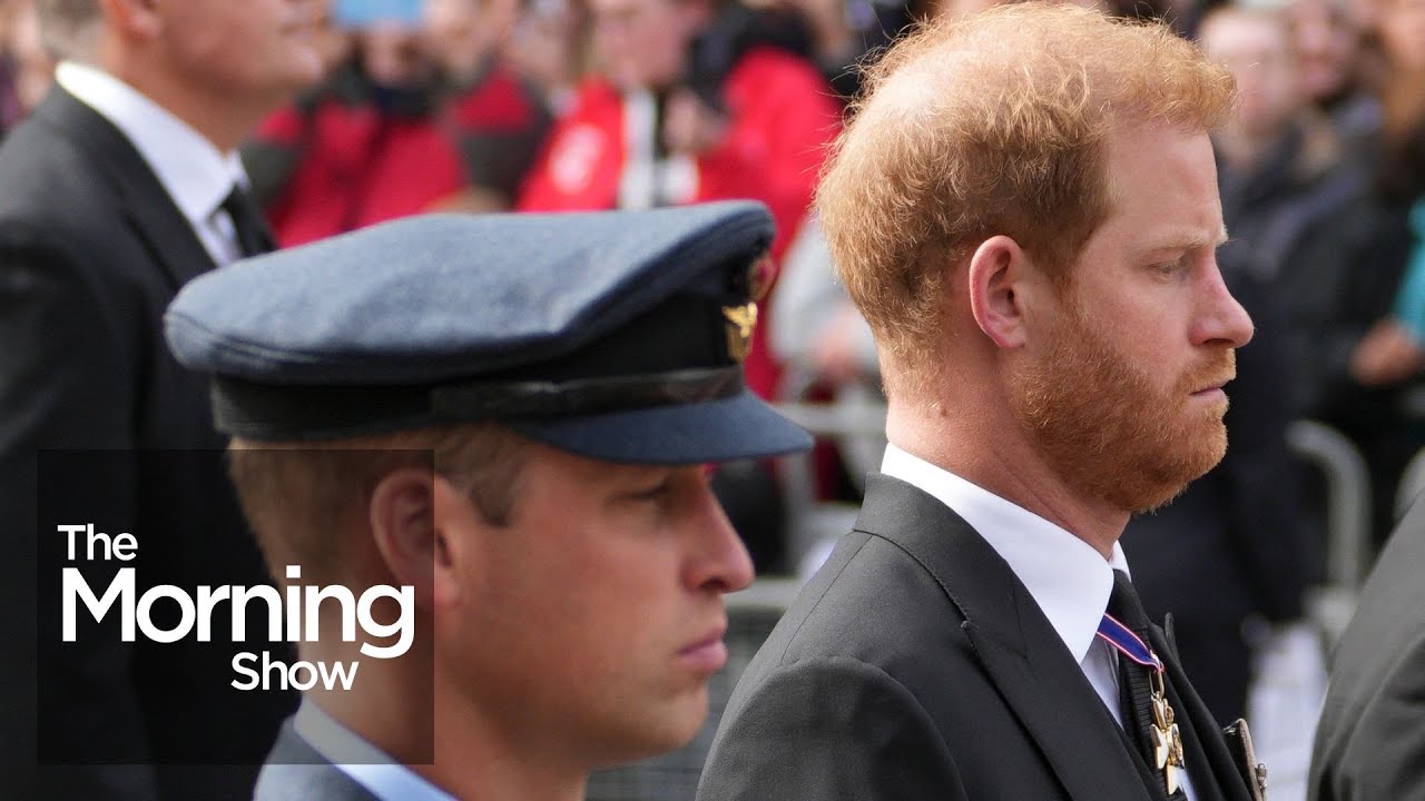 Royal reunion? Prince Harry keeps distance from William at uncle's memorial