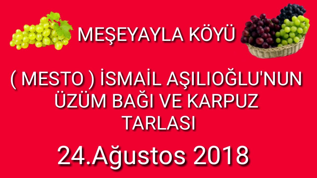 ( MESTO  ) İSMAİL AŞILIOĞLU'NUN ÜZÜM BAĞI   ( 4K Drone Çekimi )