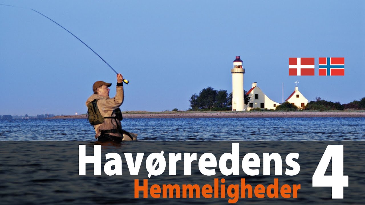 Havørredens Hemmeligheder 4 - flue/forår